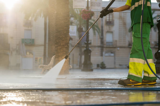 Best Soft Washing for Delicate Surfaces in Chelsea Cove, NY